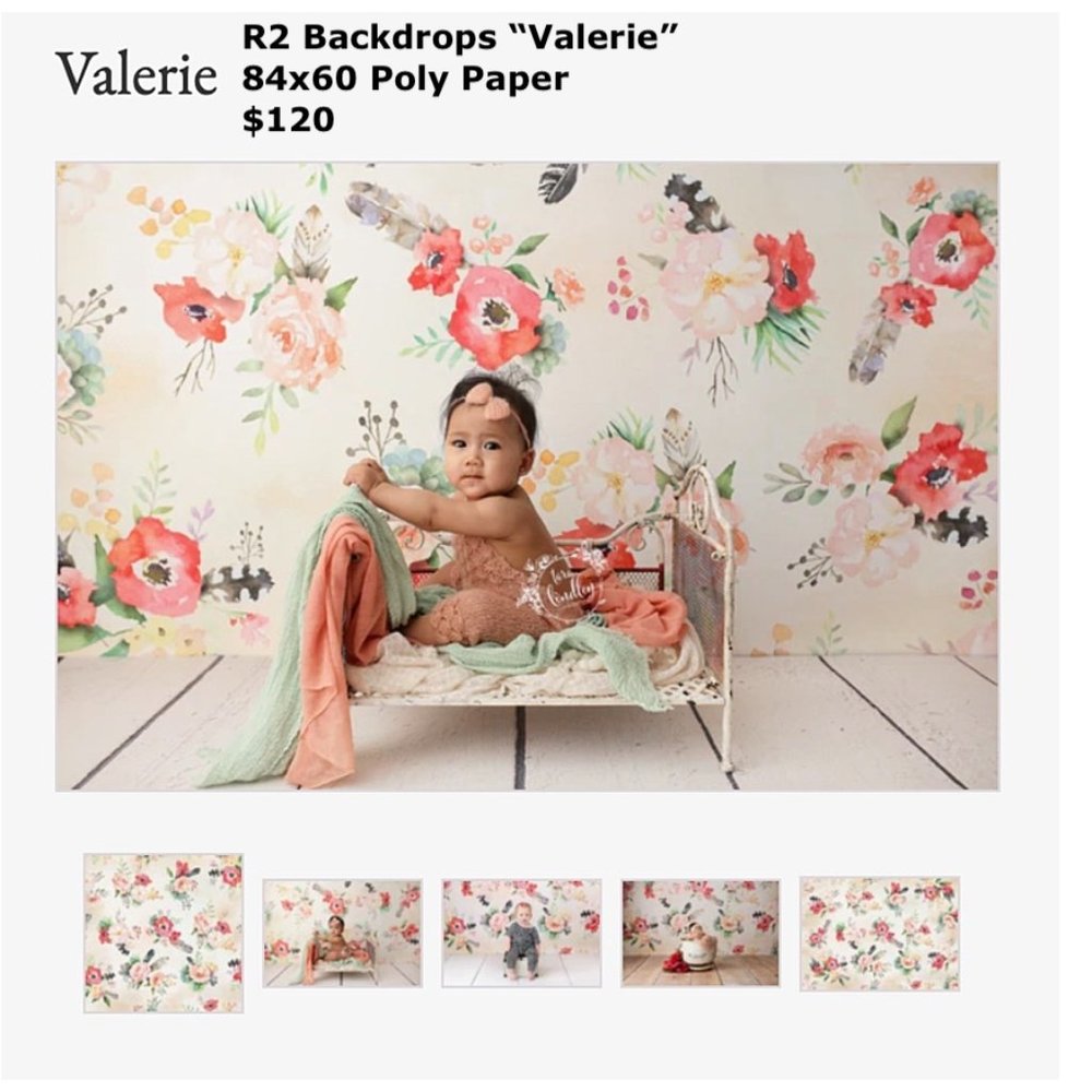 R2 Backdrops Professional Background for Photography - "Valerie" 84x60